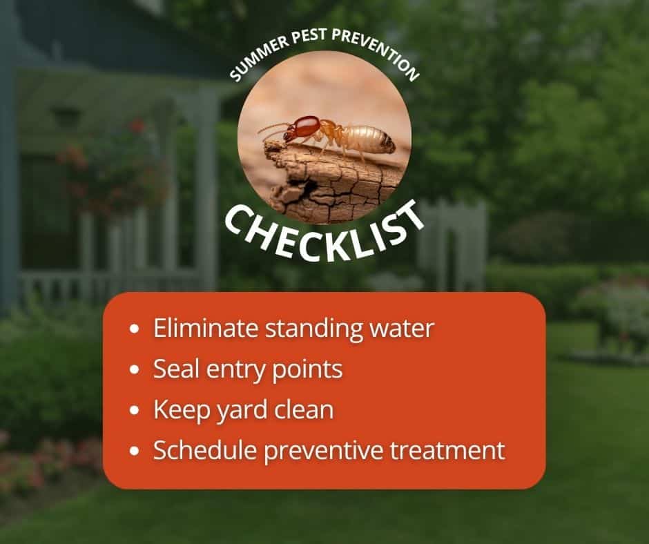 Infographic titled "Summer Pest Prevention Checklist" featuring a circular photo of a termite on a piece of wood. Below the title, a red box lists four tips: Eliminate standing water, Seal entry points, Keep yard clean, and Schedule preventive treatment. The background shows a blurred suburban home and lawn.