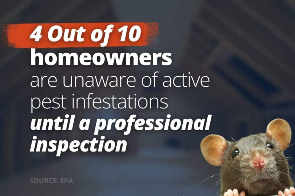 homeowner and rat nest stat