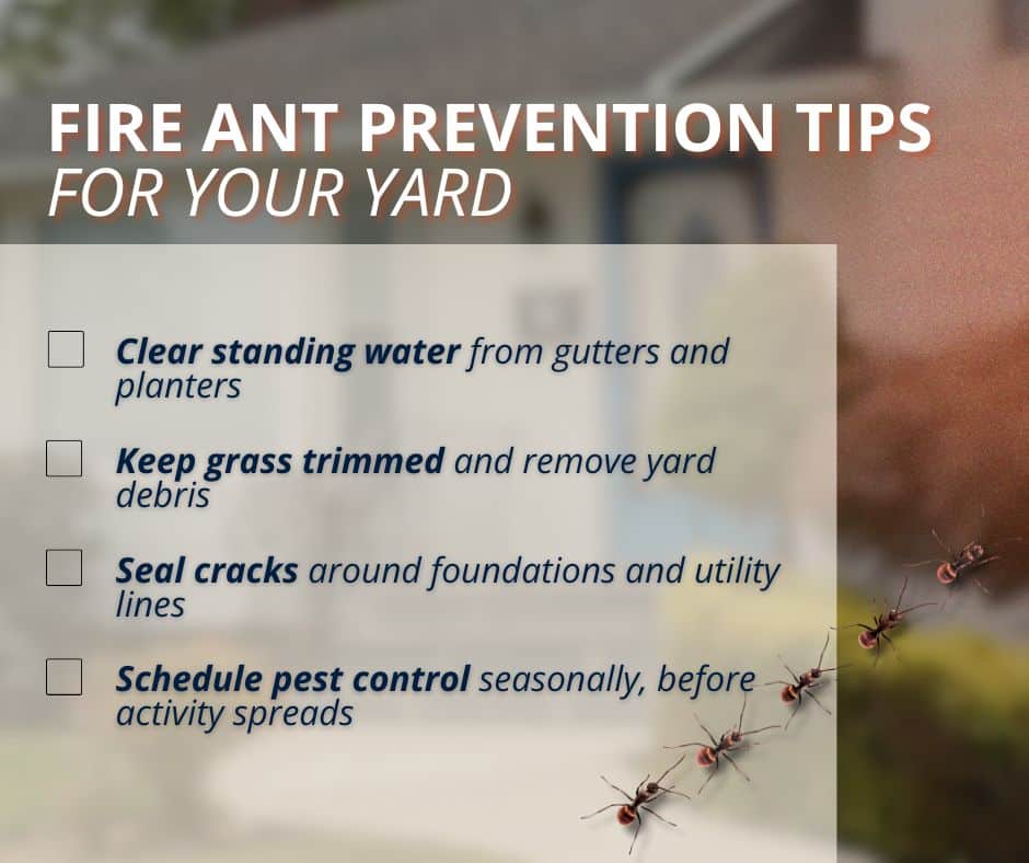tips to prevent fire ants in the yard
