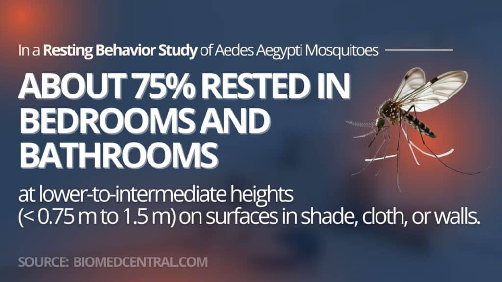 mosquito resting habits