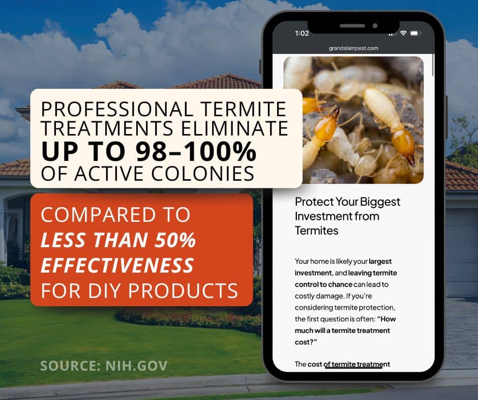 termite prevention stat