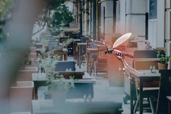 commercial mosquito control