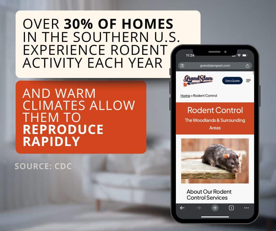 mouse vs rat poop local relevance stat