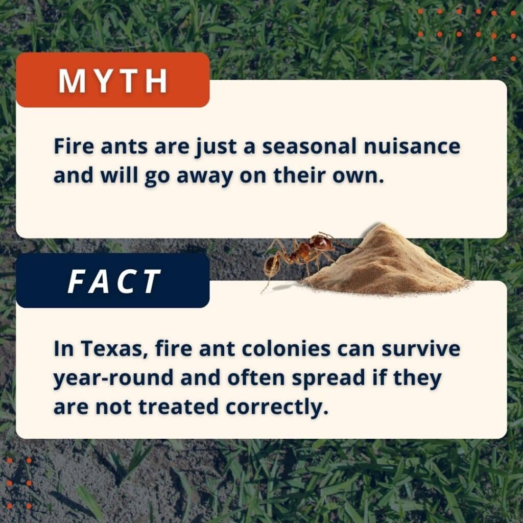 myth and fact about how to get rid of fire ants