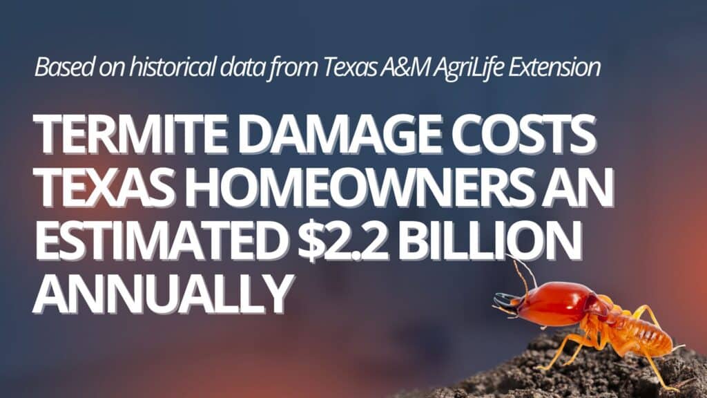 professional termite control importance stat