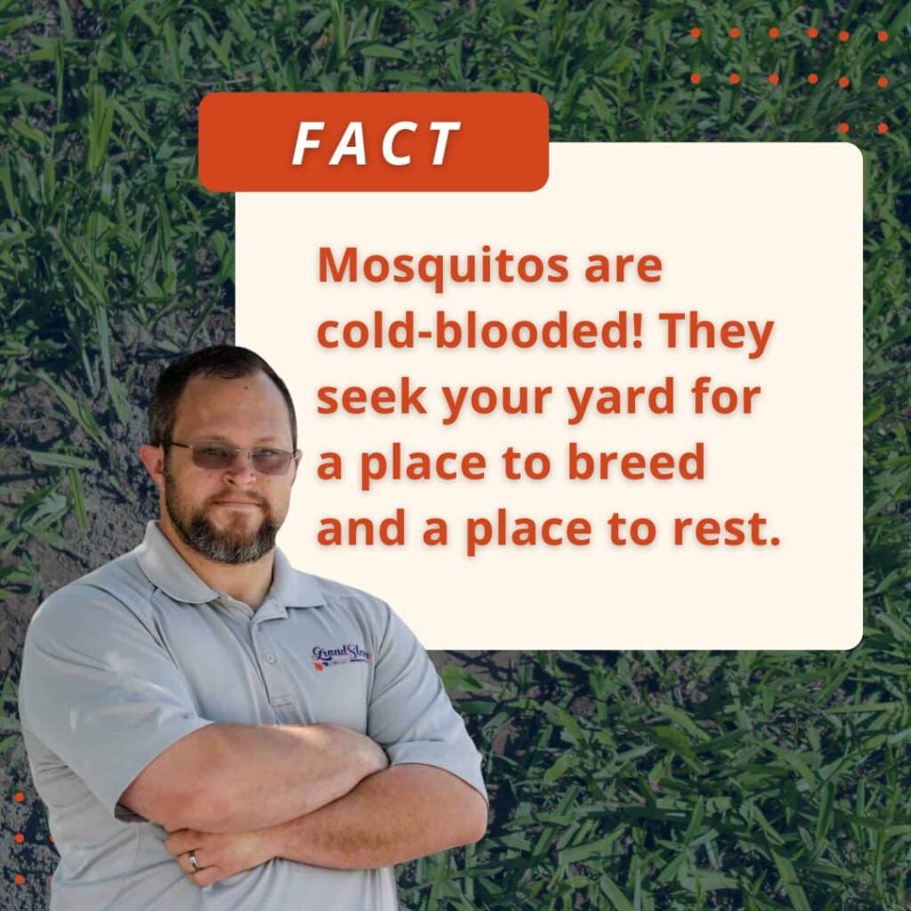 An infographic featuring a man standing in front of a grassy backdrop with a text box stating that cold-blooded mosquitoes seek out yards as places to breed and rest.